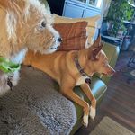 Patti McLean - @teacherpatticakes - Instagram