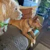 Patti McLean - @patti.mclean - TikTok