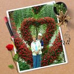 Patti Meadows - @pat.meadows.33 - Instagram