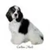 Patti Meek - @pattimeek2 - TikTok