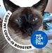 Patti Moon - Facebook