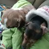 Patty Moon - @patty.moon6 - TikTok