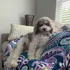 pattimorgan40 - @pattimorgan40 - TikTok