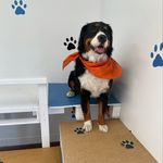 Patti Perdue Morrison - @elliemaysdaycare - Instagram