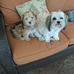 Patti Mortimer - Facebook