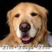 Patti Mott - Facebook