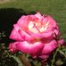 Patti Nance - Facebook