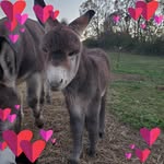 Patti Nance Griffin - @patti.petty.23 - Instagram