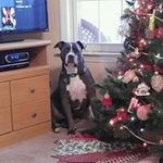 Patti Nance Streeter - @pinecone_princess_ - Instagram