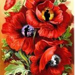 Patti Nolan - @patricia.nolan.520 - Instagram