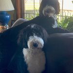 Patti Pace Blabaum - @doodlemom74 - Instagram