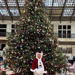 Patti Pierce - @ppierce10 - Instagram