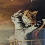 Patti Pottorff - Facebook