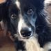 Patti Healy Pyle - Facebook