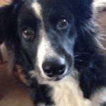 Patti Healy Pyle - @pattipyle - Instagram