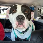 Patti Queen-Oliver - @childofpunk - Instagram