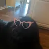 user6234264890568 - @queenpatti - TikTok
