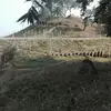 rambopatti353 - @rambopatti353 - TikTok