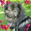 Patti Raymond Hansen - @patti.raymond.han - TikTok