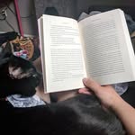 Patti - @patti_reads - Instagram