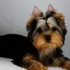 pattibackusreeves - @pattibackusreeves - TikTok