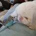 Patti Reitz - Facebook