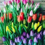Patti Richards - @jorej_2009 - Instagram
