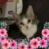 Patti Richards - @patti.87 - TikTok