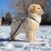 Patti Ricketts - Facebook