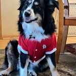 Patty Ricketts Callahan - @patty_ann_65 - Instagram
