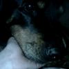 Patti Riddle498 - @pattiriddle498 - TikTok