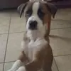 Patti Ritter - @patti.ritter3 - TikTok