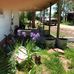 Patti Robertson - Facebook