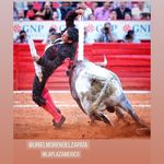 Patti Rocha - @rochespat - Instagram