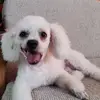 pattirocha2950 - @pattirocha2 - TikTok