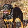 Patti Rock - @patti.rock - TikTok