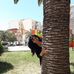Patti Romano - Facebook