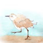 Patti Romano, Mary Van Deusen - @feathers_and_feet - Instagram