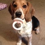 Patti Rowley - @rowdys_mom - Instagram