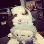 Patti Royer - @pattiroyer911 - Instagram