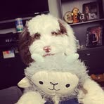 Patti Royer - Facebook