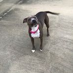 Patricia Rushing - Facebook