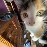 PATRICIA ANN-NICOLE SADOWSKI - @your_girl_patti - Instagram