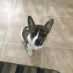 Patty Sadowski - Facebook