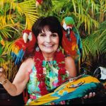 Patti Schultz Hjort - @pattihjort - Instagram