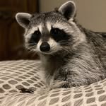 Patti Sexton - @bobusa - Instagram