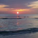 Patti Koebbe-shepherd - @patti_koebbe_shepherd - Instagram