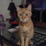 Patti Shepherd - @patti5410 - Instagram