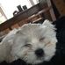 Patty Sinclair - Facebook