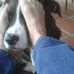 Patricia Smithson - Facebook